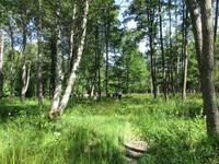 050 Matsalu Nationalpark &ndash; &copy; Karolin Kühn (Eberhardt TRAVEL)
