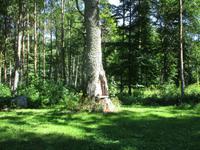 053 Matsalu Nationalpark &ndash; &copy; Karolin Kühn (Eberhardt TRAVEL)