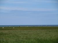 063 Matsalu Nationalpark &ndash; &copy; Karolin Kühn (Eberhardt TRAVEL)