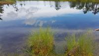 Estland, Lahemaa Nationalpark, Moorwanderung &ndash; &copy; Ria Heilmann (Eberhardt TRAVEL)