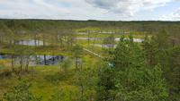 Estland, Lahemaa Nationalpark, Moorwanderung &ndash; &copy; Ria Heilmann (Eberhardt TRAVEL)