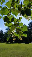 Estland, Lahemaa Nationalpark, Gutshof Sagadi &ndash; &copy; Ria Heilmann (Eberhardt TRAVEL)