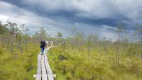 Estland, Mennikunno Hochmoor &ndash; &copy; Ria Heilmann (Eberhardt TRAVEL)