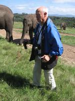 Knysna Elephant Park