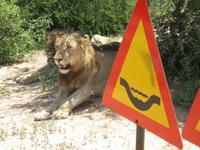 Kruger Park