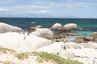 Boulder`s Beach