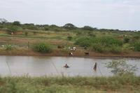 In Swaziland