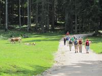 Bodental &ndash; &copy; Jacob Spangenberg (Eberhardt TRAVEL)