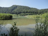 Naturschutzgebiet Förderlach &ndash; &copy; Ivonne Lischke (Eberhardt TRAVEL)