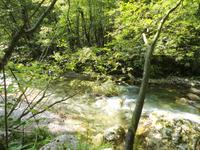 Tscheppaschlucht &ndash; &copy; Ivonne Lischke (Eberhardt TRAVEL)