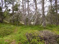 Natur pur &ndash; &copy; Yvonne Geisler (Eberhardt TRAVEL)