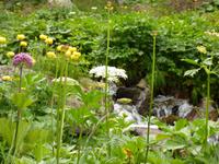 Natur pur &ndash; &copy; Yvonne Geisler (Eberhardt TRAVEL)