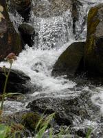 Natur pur &ndash; &copy; Yvonne Geisler (Eberhardt TRAVEL)