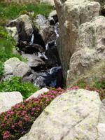 Natur pur &ndash; &copy; Yvonne Geisler (Eberhardt TRAVEL)