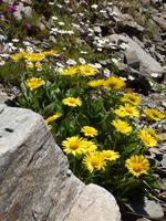 Sorteny-Naturpark &ndash; &copy; Yvonne Geisler (Eberhardt TRAVEL)