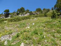 Sorteny-Naturpark