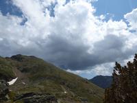 Natur pur