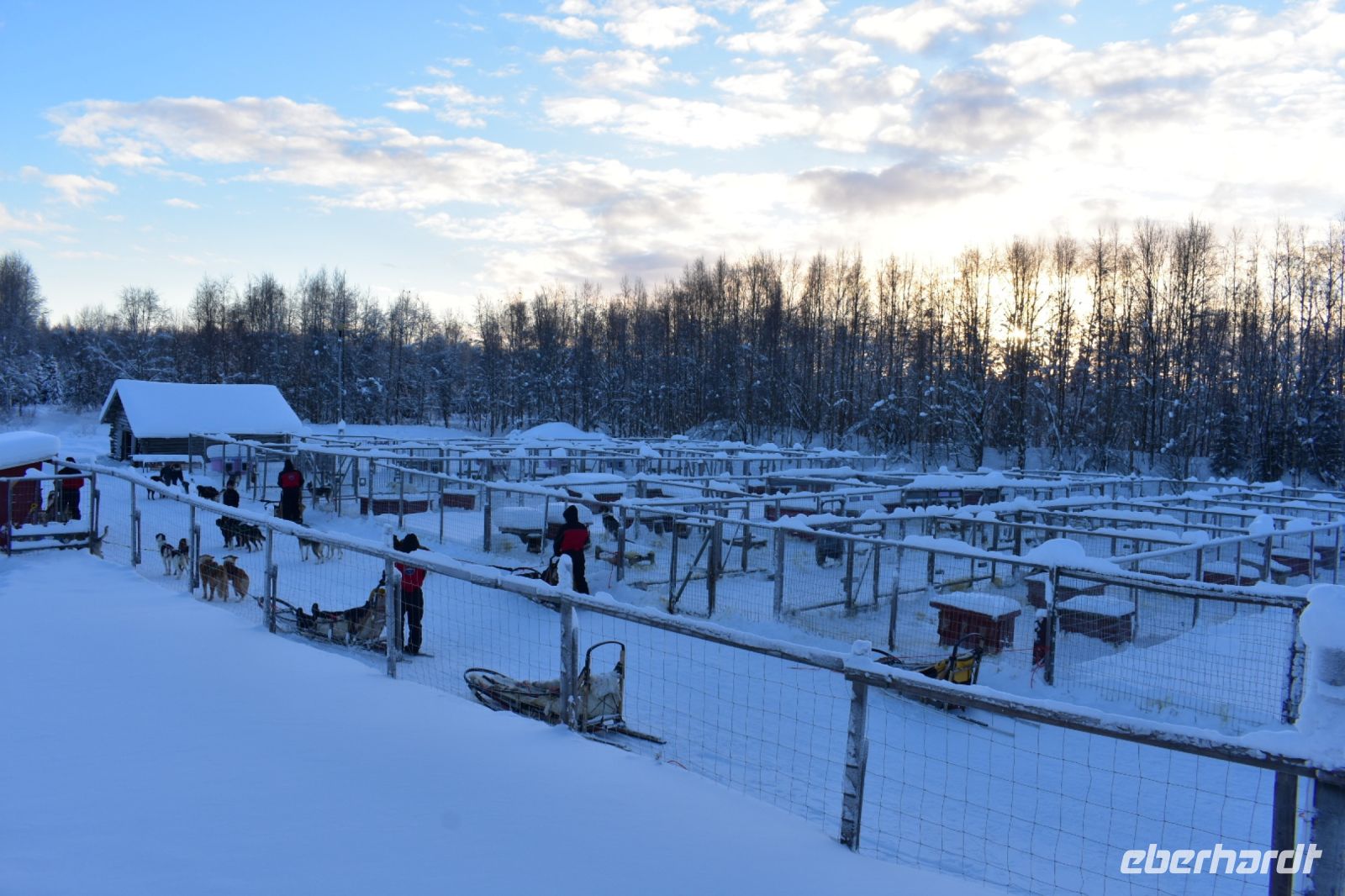 Husky Farm &ndash; &copy; Mandy Rauschner (Eberhardt TRAVEL)