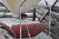 Eichhörnchen &ndash; &copy; Mandy Rauschner (Eberhardt TRAVEL)