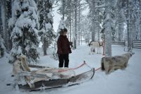 Rentierfarm &ndash; &copy; Mandy Rauschner (Eberhardt TRAVEL)