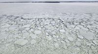 Eiskreuzfahrt Bottnischer Meerbusen &ndash; &copy; Petra Hady (Eberhardt TRAVEL)