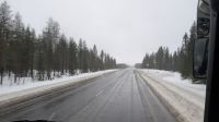 20250223_10-Regen in Kuusamo.jpg