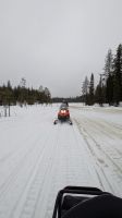 20250224_9...und hinein in die Wälder Lapplands.jpg &ndash; &copy; Michael Rass (Eberhardt TRAVEL)