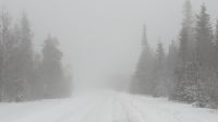 20250226_1-dichter Nebel bei Abfahrt.jpg &ndash; &copy; Michael Rass (Eberhardt TRAVEL)