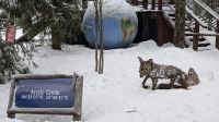 20250228_3 hier trifft sich .....jpg &ndash; &copy; Michael Rass (Eberhardt TRAVEL)