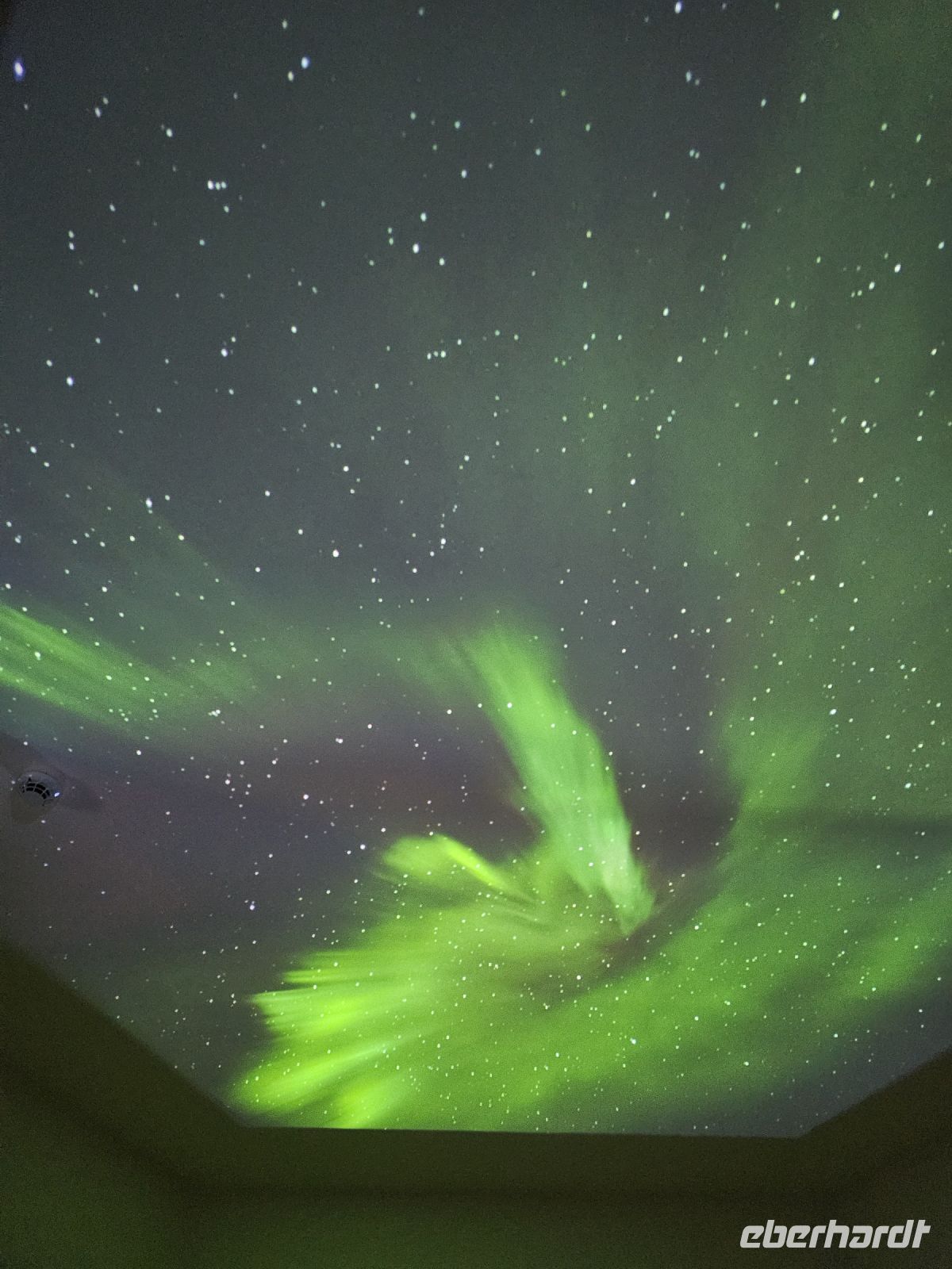 Tag 6 - das Arktikum in Rovaniemi (6) &ndash; &copy; Mariele Legler (Eberhardt TRAVEL)