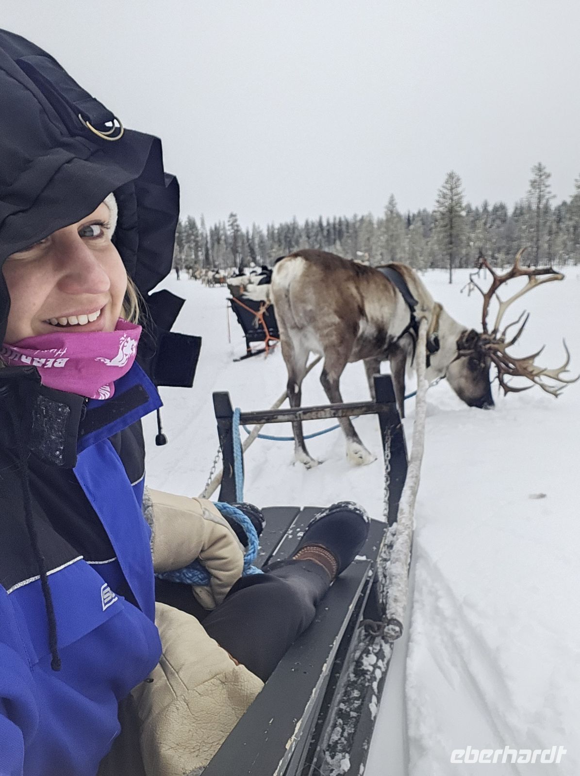 Tag 7 -  Rentiersafari in Salla (1) &ndash; &copy; Mariele Legler (Eberhardt TRAVEL)