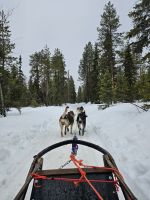 5. Tag - Husky Schlittentour (3) &ndash; &copy; Mariele Legler (Eberhardt TRAVEL)