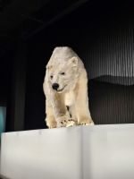 Tag 6 - das Arktikum in Rovaniemi (4) &ndash; &copy; Mariele Legler (Eberhardt TRAVEL)