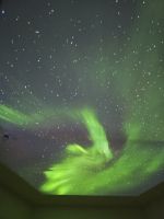 Tag 6 - das Arktikum in Rovaniemi (6) &ndash; &copy; Mariele Legler (Eberhardt TRAVEL)