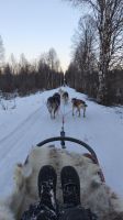 Husky Tour  &ndash; &copy; Beate Klingebiel (Eberhardt TRAVEL)