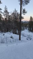 Lichtblicke Lappland  &ndash; &copy; Beate Klingebiel (Eberhardt TRAVEL)