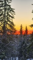 Lichtblick Lappland  &ndash; &copy; Beate Klingebiel (Eberhardt TRAVEL)