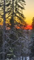 Lichtblicke Lappland &ndash; &copy; Beate Klingebiel (Eberhardt TRAVEL)