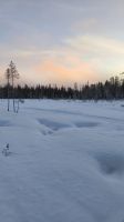 Naturpark Iso Syöte 