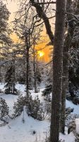 Naturpark Iso Syöte  &ndash; &copy; Beate Klingebiel (Eberhardt TRAVEL)