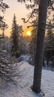 Naturpark Iso Syöte  &ndash; &copy; Beate Klingebiel (Eberhardt TRAVEL)