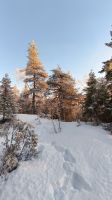 Naturpark Iso Syöte  &ndash; &copy; Beate Klingebiel (Eberhardt TRAVEL)