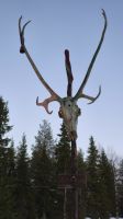 Kunst  &ndash; &copy; Beate Klingebiel (Eberhardt TRAVEL)