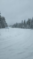 Weg zum Flughafen Kuusamo &ndash; &copy; Beate Klingebiel (Eberhardt TRAVEL)