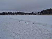 Jämsä - Himos Center (Eiscurling) &ndash; &copy; Katrin Deutschbein (Eberhardt TRAVEL)
