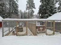 Huskyfarm 