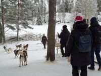 Huskyfarm 