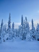 Maaselkä, Finnland