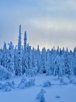 Maaselkä, Finnland