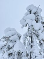 Syöte, Finnland